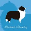 [B00NHRJY14] シェルティー ブラック & ホワイト 犬 ステッカー プレミアム シルエット dst012-sb