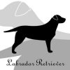 [B014UU4JJI] ラブラドール レトリバー 犬 ステッカー プレミアム シルエット モノトーン dst015-mono Lサイズ