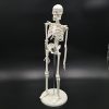 [B01AT47SCE] 人体骨格模型 45㎝ スタンド 付き ヒューマン スカル 標本 (1/4)