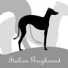 [B00JHDG7YO] イタリアン グレー ハウンド 犬 ステッカー プレミアム シルエット モノトーン dst018-mono Mサイズ